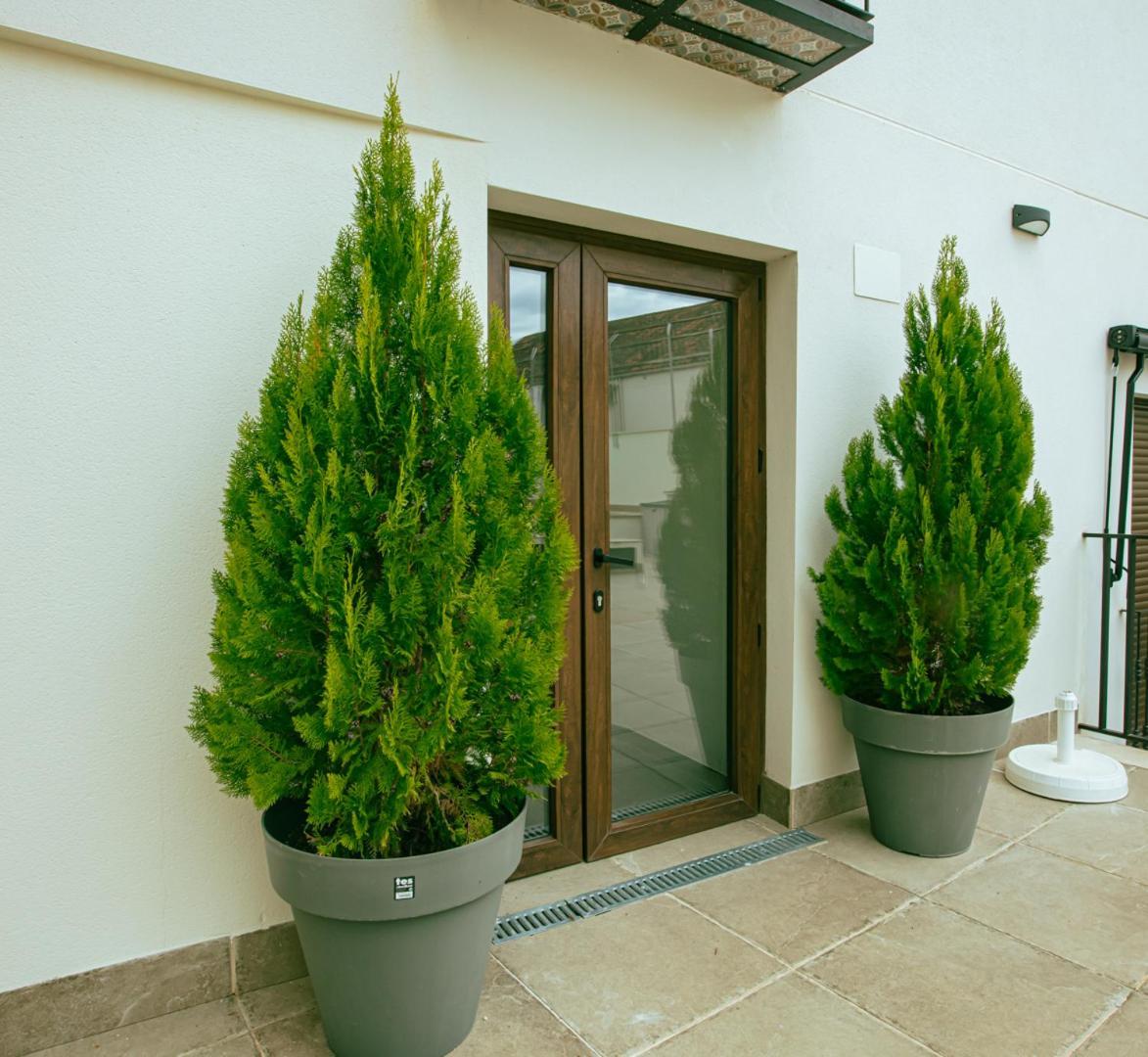 Appartement Turisticos Pilaria Jaén